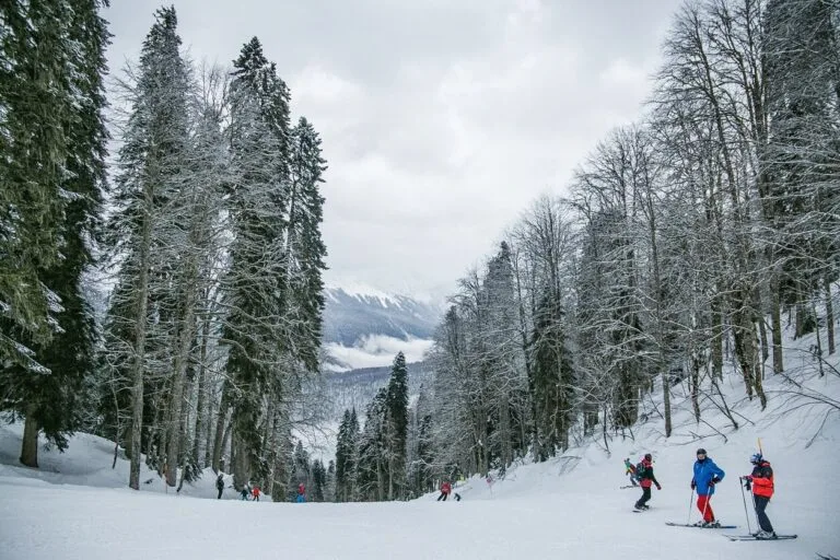 Enneigement les saisies - forêt