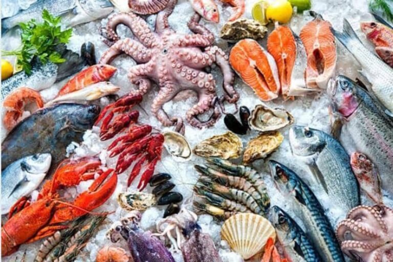 Un ensemble de fruits de mer