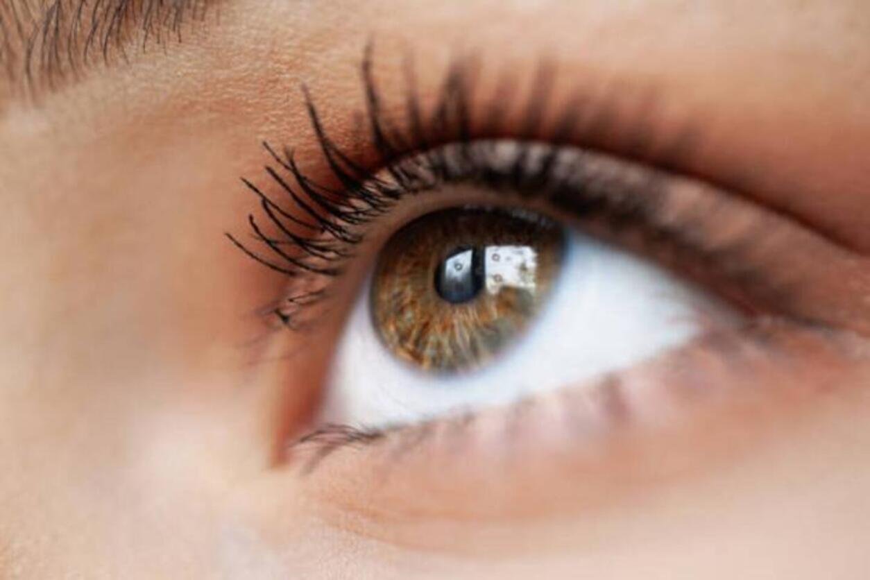 Yeux hazel noisette