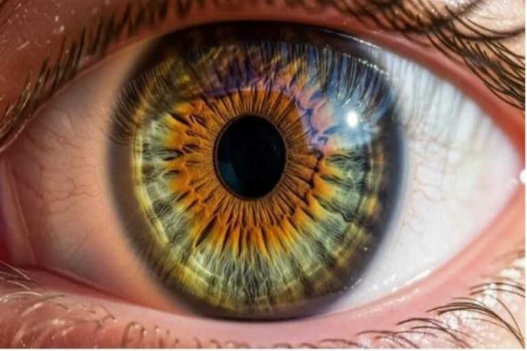 Yeux hazel bleu foncé