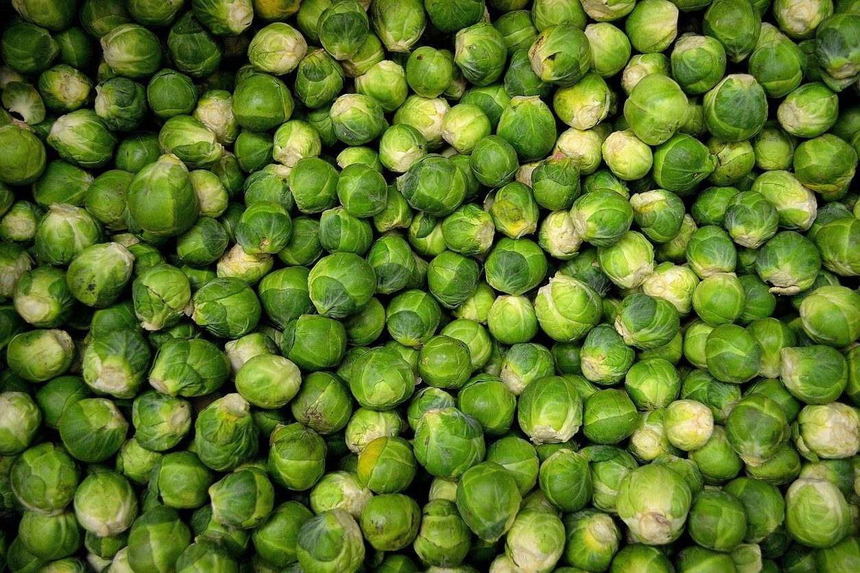 Des Choux de Bruxelles